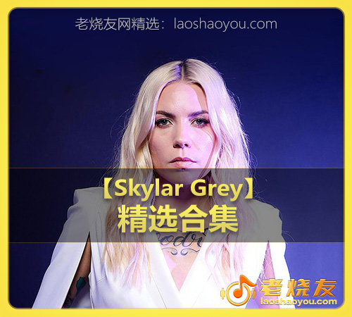 【Skylar Grey】wav版
